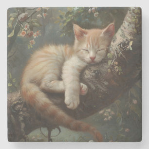 Kitten Sleeping in a Tree Vintage Stone Coaster