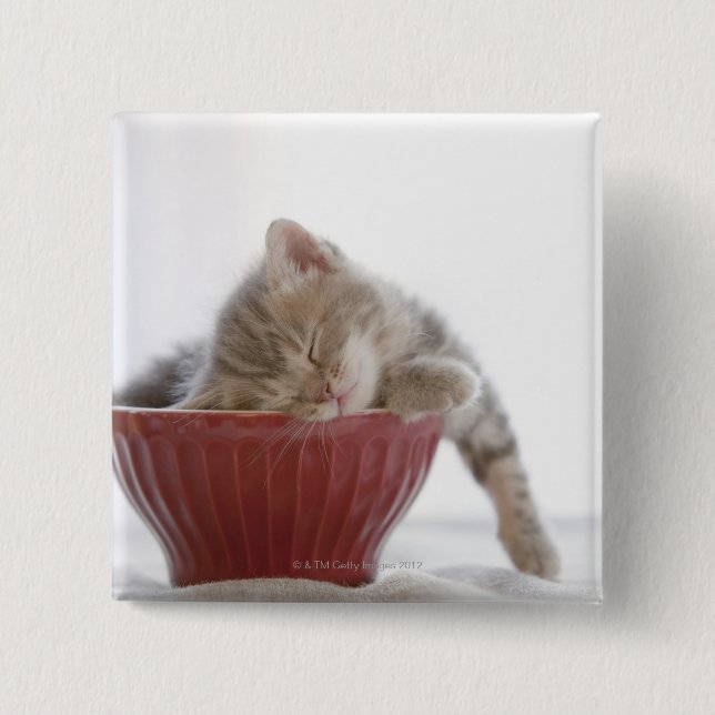 Kitten Sleeping in Bowl Button (Front)