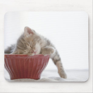 Kitten Sleeping in Bowl Mouse Pad