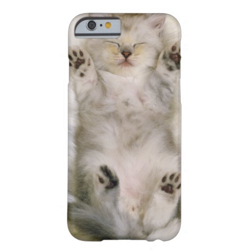 Kitten Sleeping on a White Fluffy Carpet High Barely There iPhone 6 Case