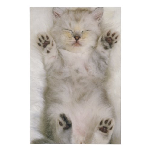 Kitten Sleeping on a White Fluffy Carpet High Faux Canvas Print