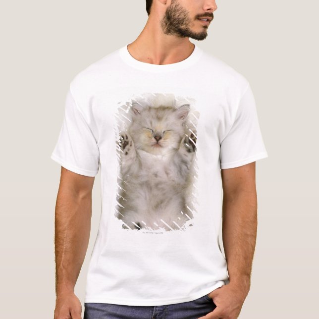 Kitten Sleeping on a White Fluffy Carpet, High T-Shirt (Front)