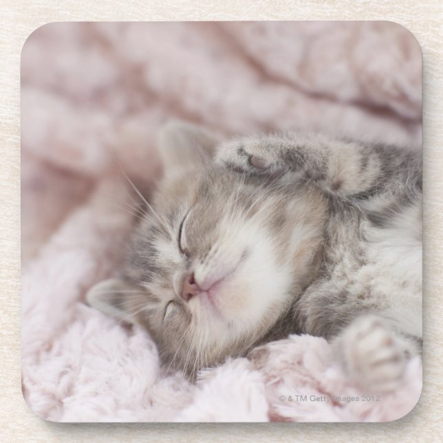 Kitten Sleeping on Towel Beverage Coaster (Front)