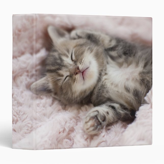 Kitten Sleeping on Towel Binder (Front/Spine)