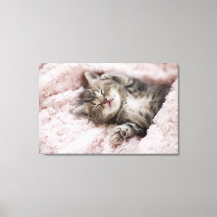 Kitten Sleeping on Towel Canvas Print