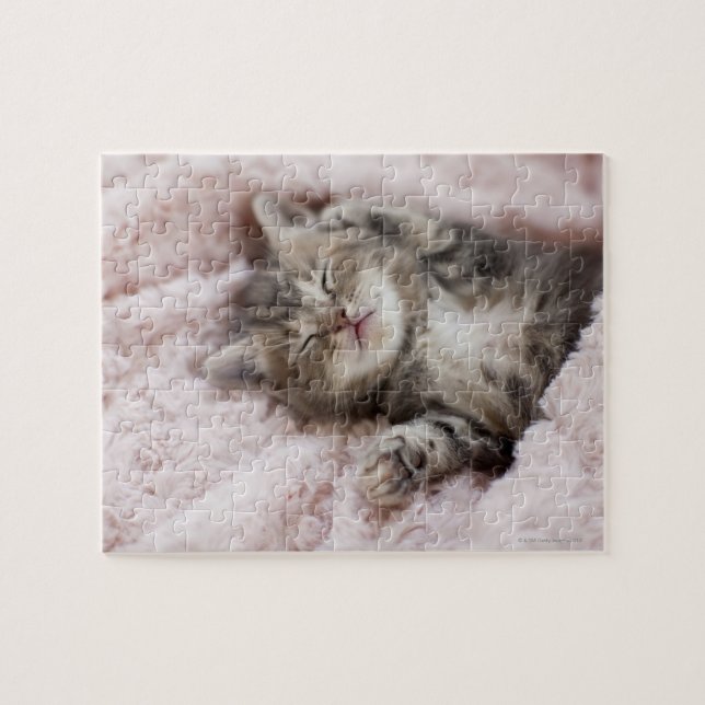 Kitten Sleeping on Towel Jigsaw Puzzle (Horizontal)