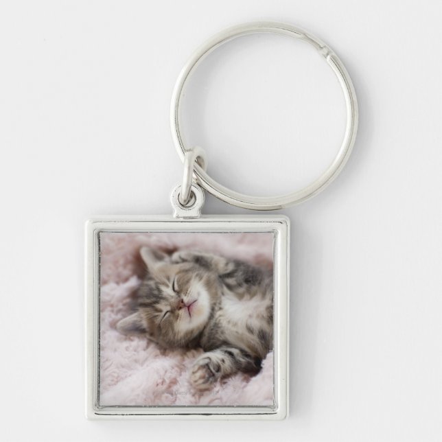 Kitten Sleeping on Towel Keychain (Front)