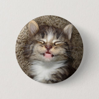 Kitten Smile Button