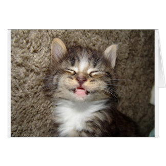 Kitten Smile Cards