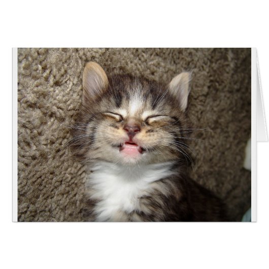Kitten Smile Cards (Front Horizontal)