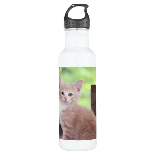 Kitten Stainless Steel Water Bottle (Front)