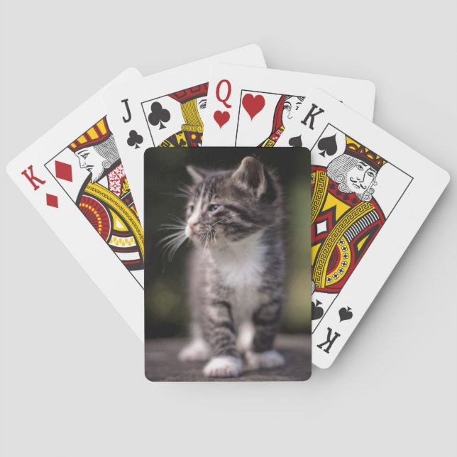 Kitten Standing Tall Poker Cards (Back)