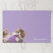 Kitten Stay Pawsitive Paper Pad