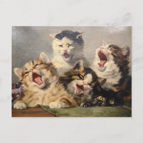 Kitten Symphony by Julius Adam II Postcard