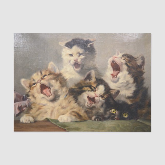 Kitten Symphony by Julius Adam II Tissue Paper (Front)