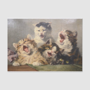 Kitten Symphony by Julius Adam II Tissue Paper