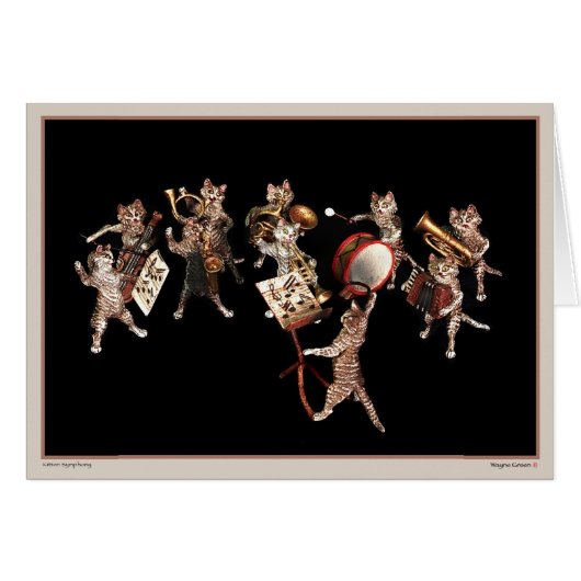 Kitten Symphony Cards (Front Horizontal)