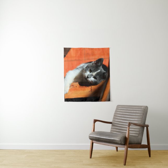 Kitten Tapestry (In Situ)