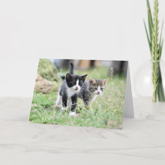 Kitten Thank You Card