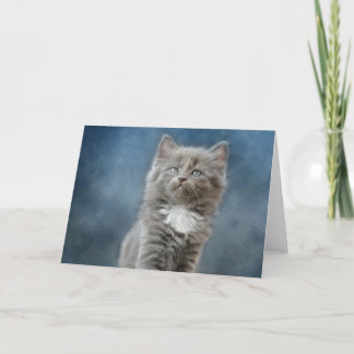 Kitten Thank You Card