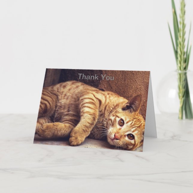 Kitten Thank You Card, Cat Thank You Card (Front)