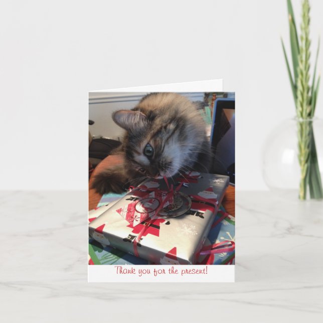 kitten thank you note card (Front)