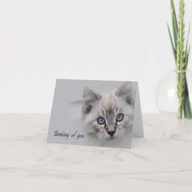 Kitten Thinking of You Card - Customizable (Front)