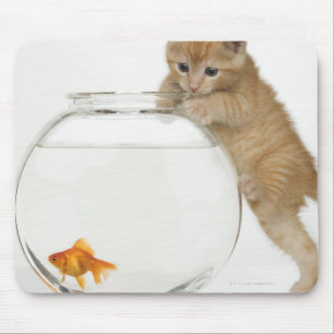 Kitten trying to get at a goldfish mouse pad