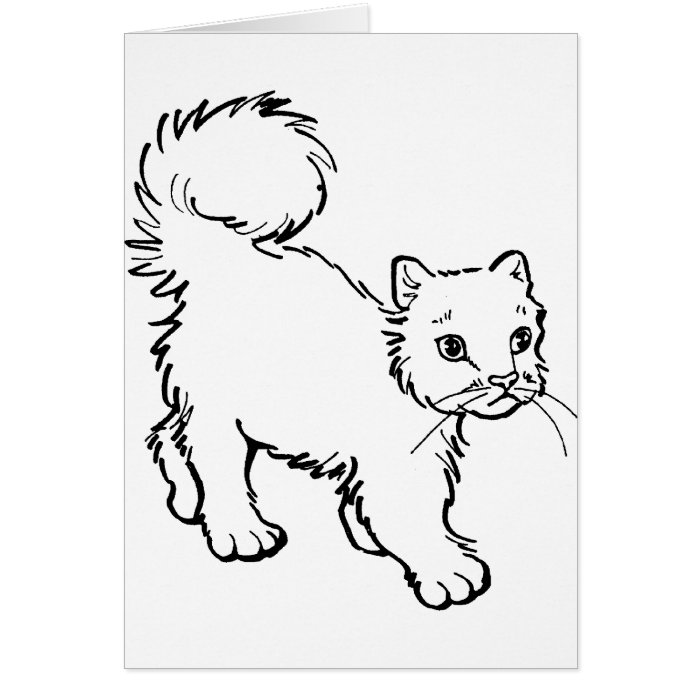 Kitten Tshirts and Gifts 225 Card