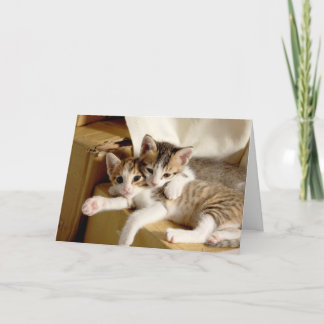 Kitten Twins Blank Greeting Letterpress Thank You Card