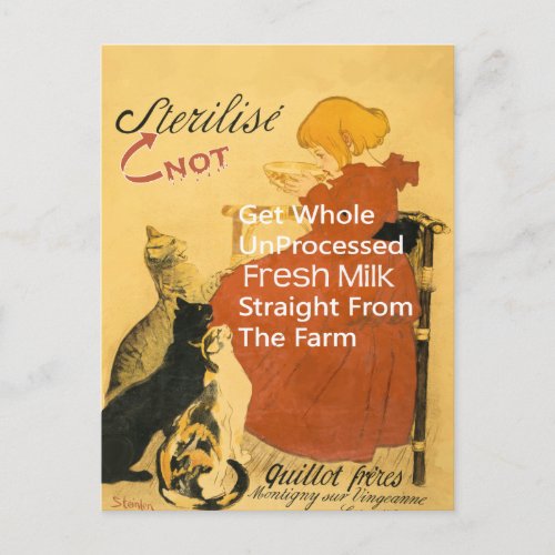 Kitten Vintage Milk Poster Postcard