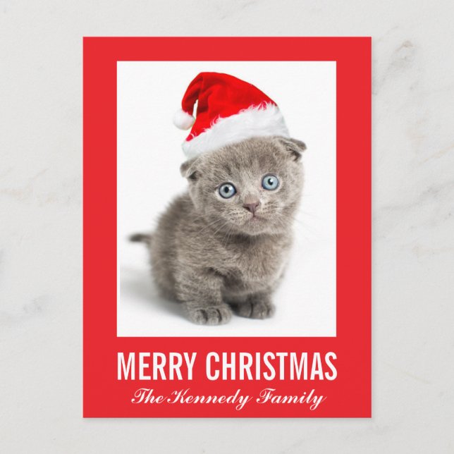 Kitten wearing a Santa hat Holiday Postcard (Front)