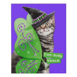 Kitten Witch Fairy Faux Canvas Print