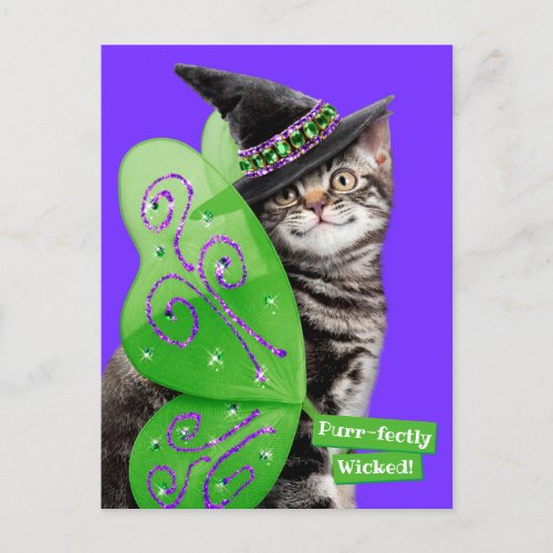 Kitten Witch Fairy Invitation Postcard