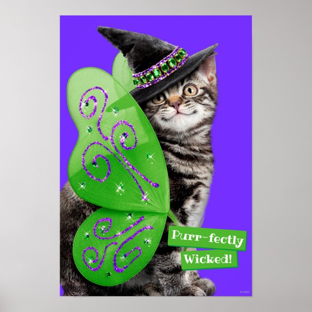 Kitten Witch Fairy Poster (Front)