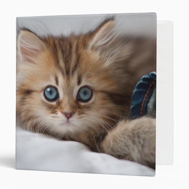 Kitten With Blue Eyes Binder (Front/Inside)