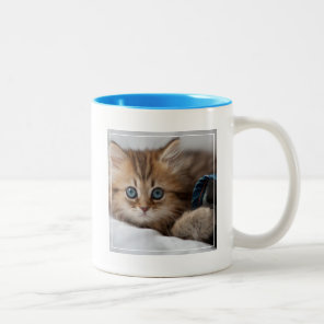 Kitten With Blue Eyes Two-Tone Coffee Mug