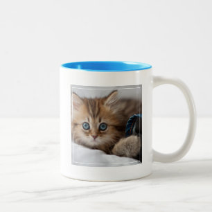Kitten With Blue Eyes Two-Tone Coffee Mug