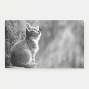 Kitten With Butterfly Friend Post-it Notes