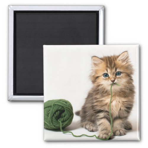 Kitten With Green Yarn Magnet