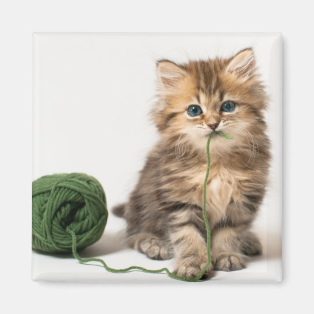 Kitten With Green Yarn Magnet (Front)