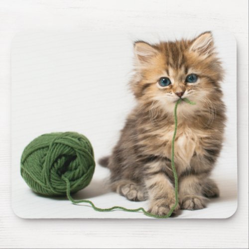 Kitten With Green Yarn Mouse Pad