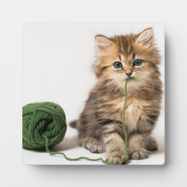 Kitten With Green Yarn Plaque (Front)