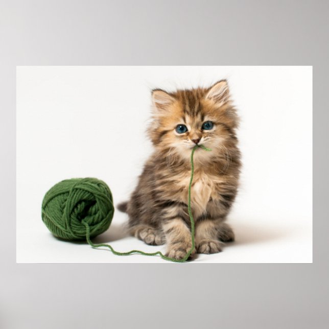 Kitten With Green Yarn Poster (Front)