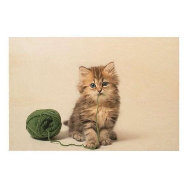 Kitten With Green Yarn Wood Wall Art (Front)