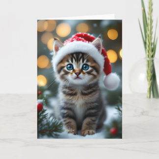 Kitten with red Christmas hat Card