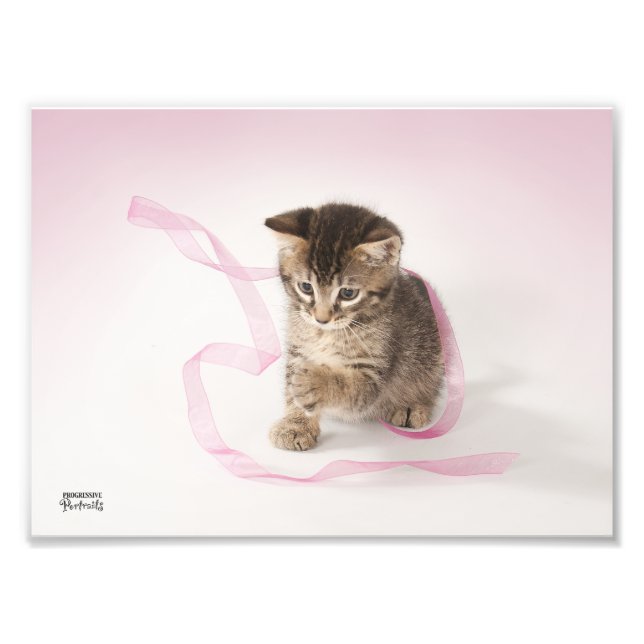 Kitten with Ribbon Photo Print (Front)