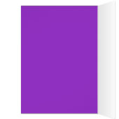 KITTEN WITH ROSES ,Orange Yellow.Blue Purple Cards (Inside (Left))