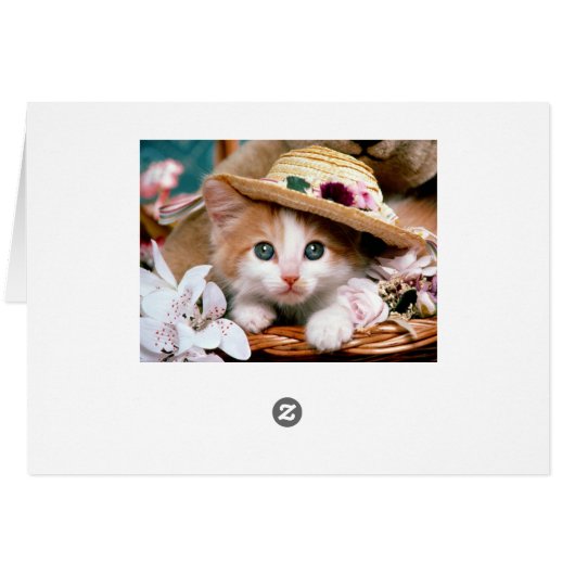 Kitten with straw hat. (Back Horizontal)