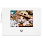 Kitten with straw hat. cards (Back Horizontal)